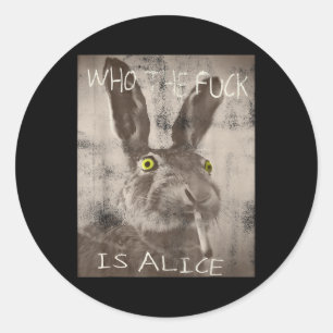 Retro Who The Fck Is Alice Funny Rabbit  Classic Round Sticker