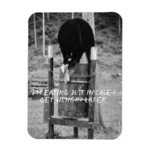 Retro Wild Black Bear Trash Scavenging Garbage