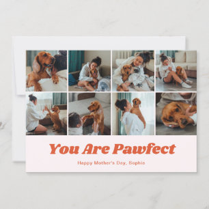 Retro You Are Pawfect Dog Mom 12 Photo Pink Holiday Card
