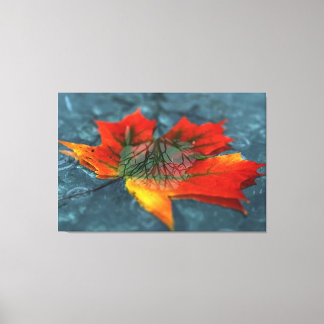 Retroreflection Canvas Print (Front)