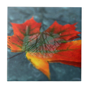 Retroreflection Decorative Tile / Trivet