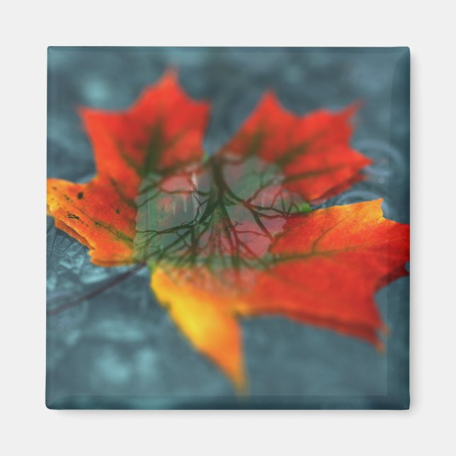 Retroreflection Magnet (Front)