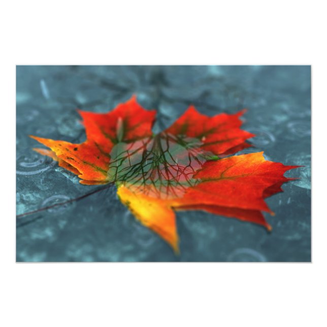 Retroreflection Photo Print (Front)