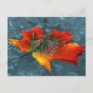 Retroreflection Postcard