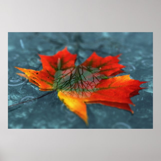 Retroreflection Print (Front)