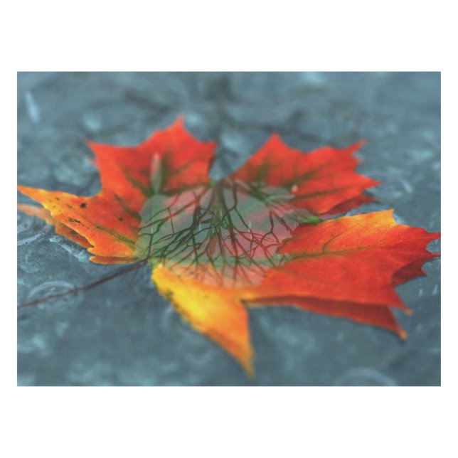 Retroreflection Tablecloth (Front (Horizontal))