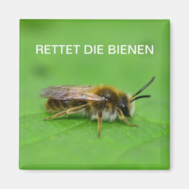 Rettet die Bienen Magnet (Front)