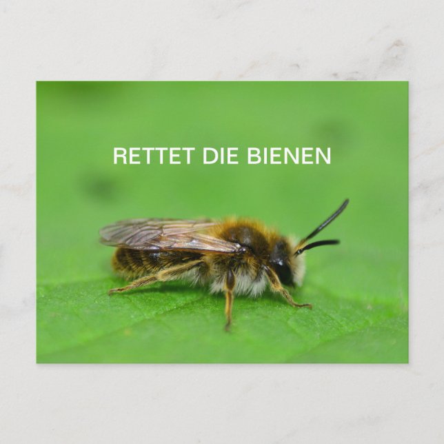 Rettet die Bienen Postcard (Front)