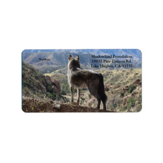 Return Address Label