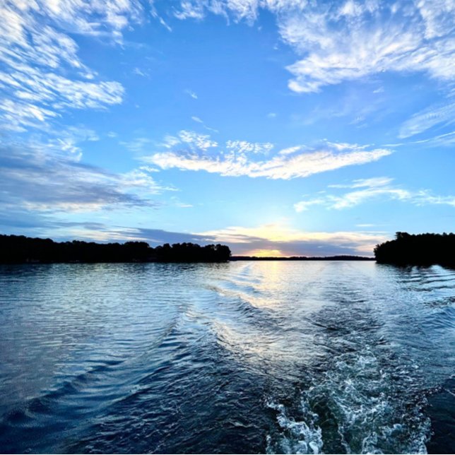 Return Address Label (Creator Uploaded)