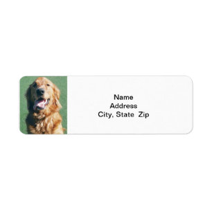 Return Address Label, Golden Retriever