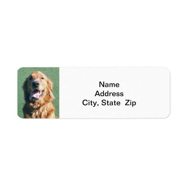 Return Address Label, Golden Retriever (Front)