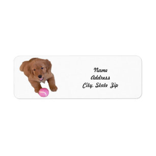 Return Address Label, Golden Retriever Puppy