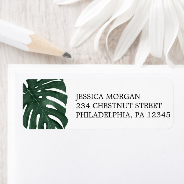Return Address Label Tropical Monstera (Insitu)