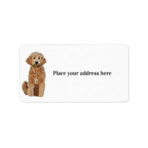 Return Address Label w/ golden doodle