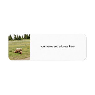 Return Address Label w/ grizzly bear & cubs