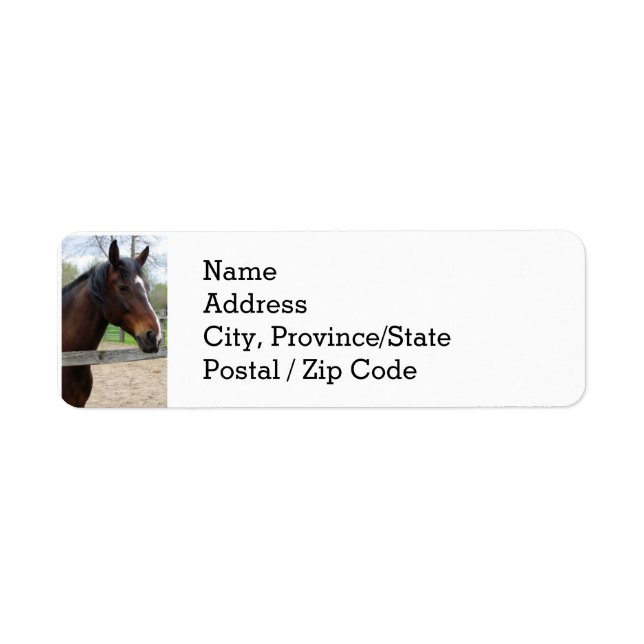 Return Address Labels - (Front)