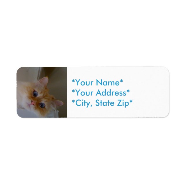 Return Address Labels (Front)