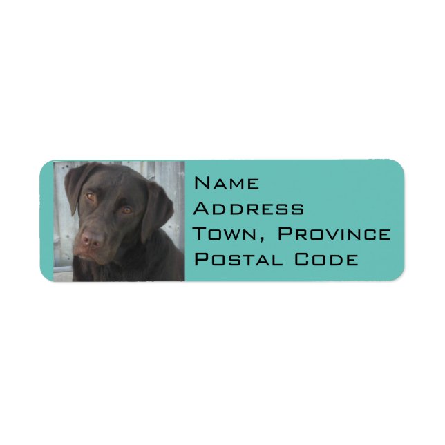 Return Address Labels - Chocolate Lab (Front)