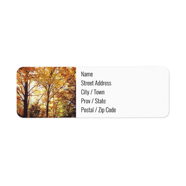 Return Address Labels - Fall Forest (Front)