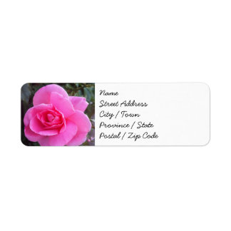 Return Address Labels - Pink Rose