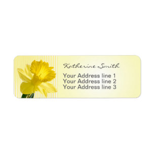 Return Address Yellow Daffodil Picture and Stripes