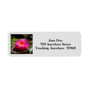 Return mailing address labels #30