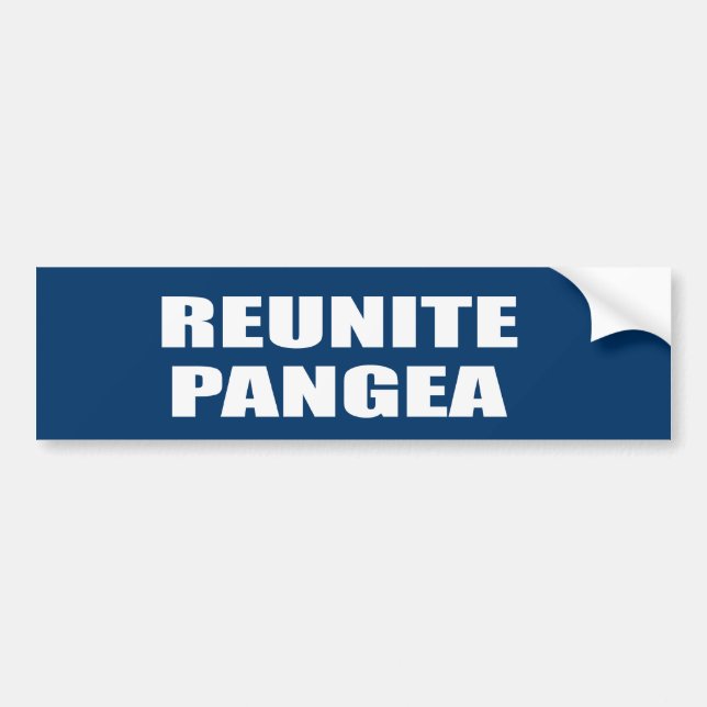 REUNITE PANGEA BUMPER STICKER (Front)
