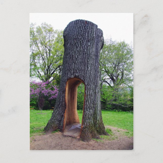 ReUse Postcard (Front)