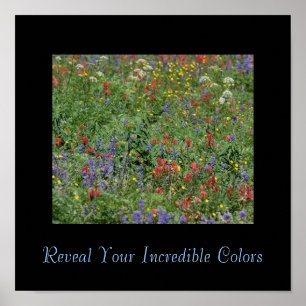 Reveal Your Incredible Colours Poster