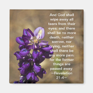 Revelation 21:4 magnet