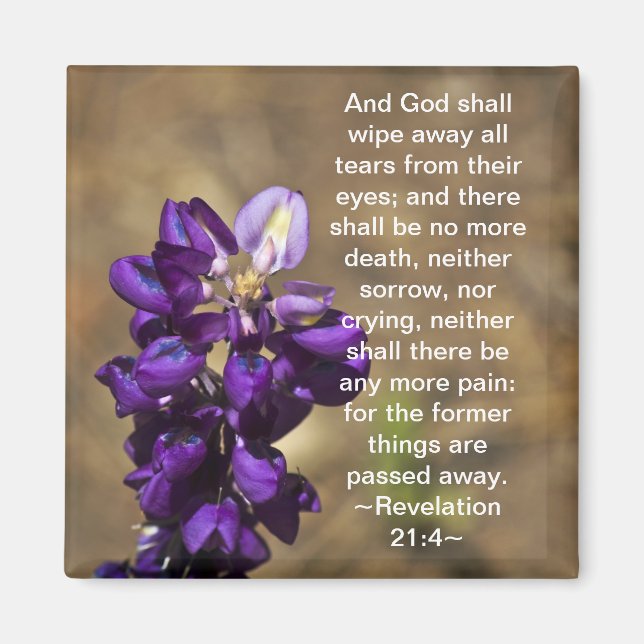 Revelation 21:4 magnet (Front)