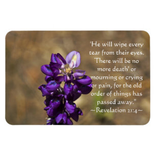 Revelation 21:4 magnet