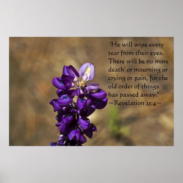 Revelation 21:4 poster (Front)