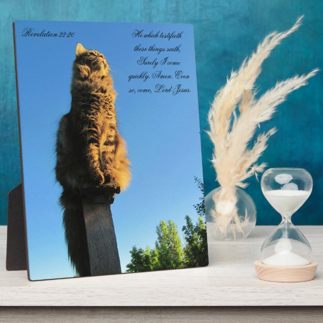 Revelation 22:20 Cat Waiting For Jesus Plaque (Side)