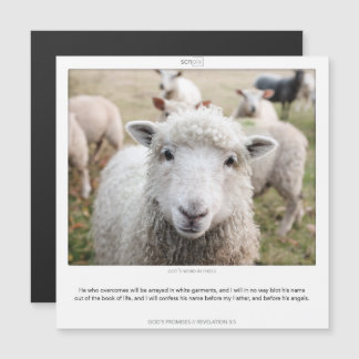 Revelation 3:5 GODS PROMISES SCRIPIX magnet card