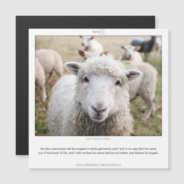 Revelation 3:5 GODS PROMISES SCRIPIX magnet card (Front/Back)