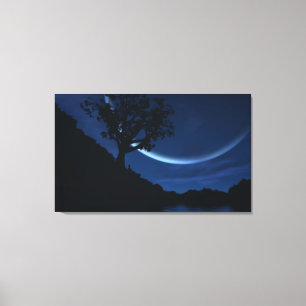 Reverie Canvas Print