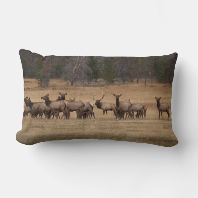 Reversible Elk on a Pillow (Front)