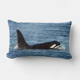 Reversible Killer Whale 