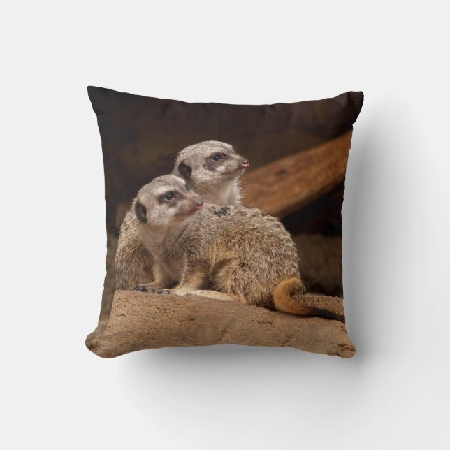 Reversible Meerkats on a Pillow (Front)