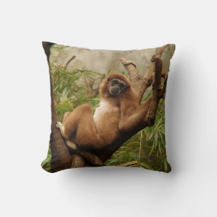 Reversible Monkeys on a Pillow