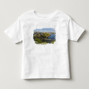 Reversing falls on the St. John River at St. 2 Toddler T-Shirt