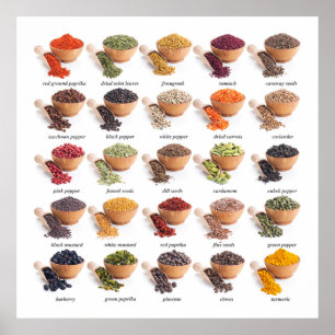 Revised Spice Chart Kitchen / Business Poster