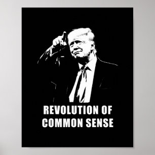 Revolution Of Common Sense – Trump Inauguration 20 Poster