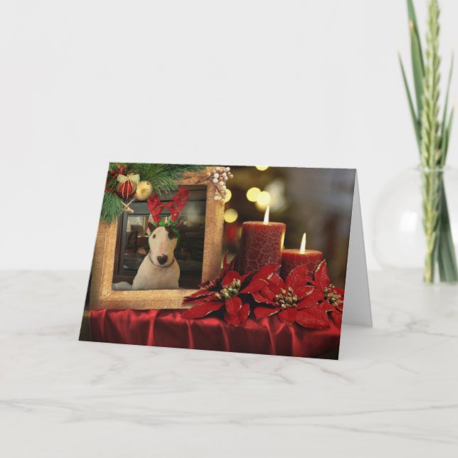 Rex Christmas card, candles and poinsettia Card (Front)