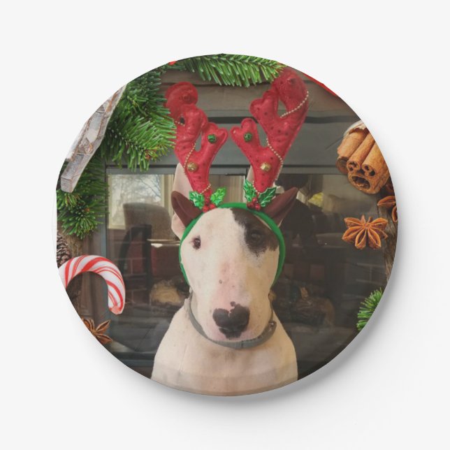 Rex Christmas plates (Front)