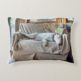Rex in repose pillow