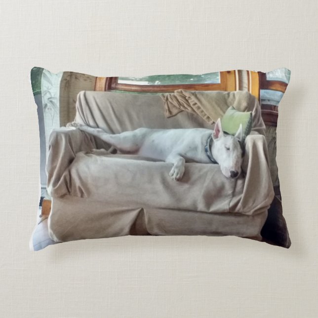 Rex in repose pillow (Front)