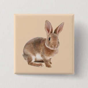 Rex Rabbit 15 Cm Square Badge